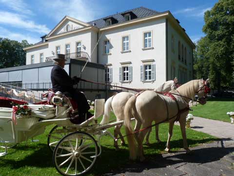 Horse and carriage arrival at Kavalierhaus wedding ceremony